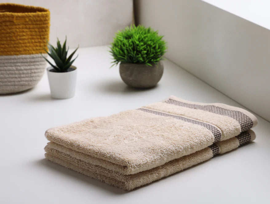 HYGRO HAND TOWEL PACK OF 2-By Spaces