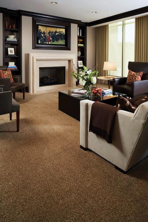 Ultra Soft Cut Pile Wall-to-Wall Carpet – Plush Comfort Flooring