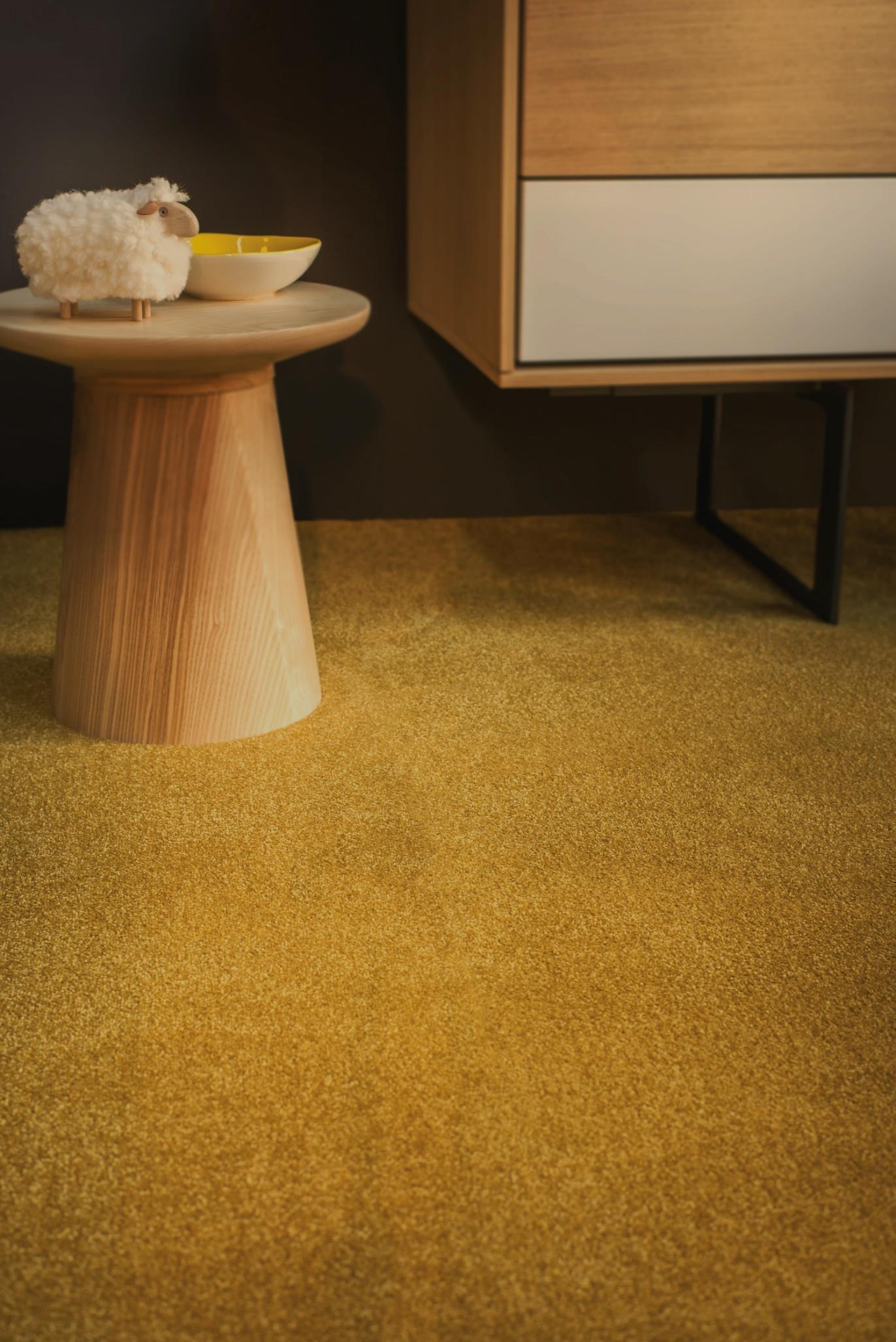 Ultra Soft Cut Pile Wall-to-Wall Carpet – Plush Comfort Flooring