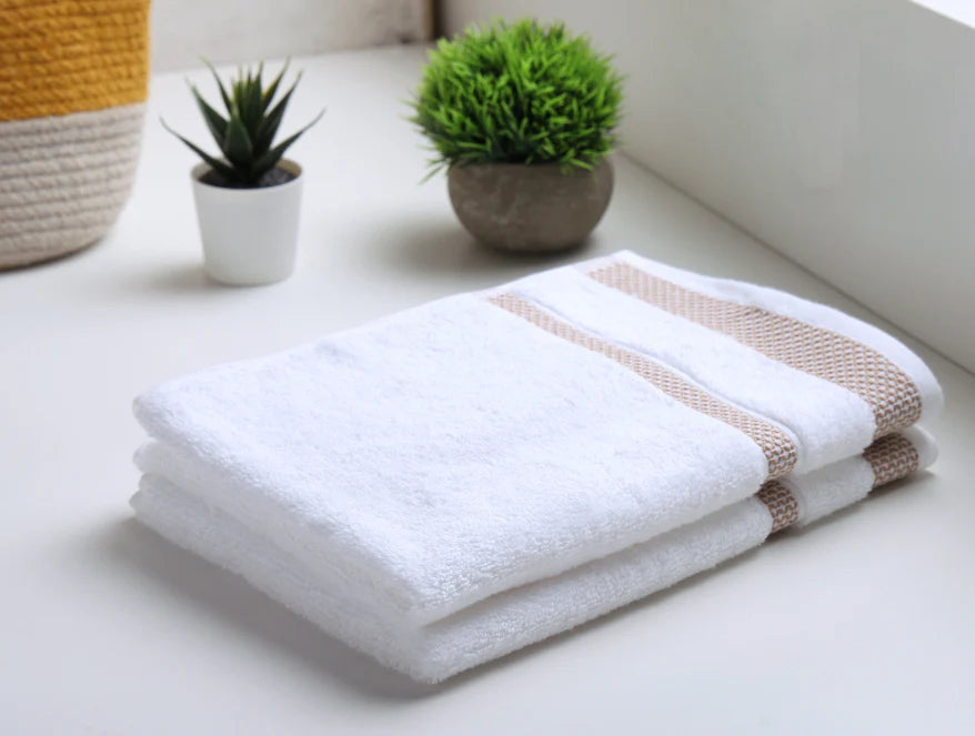 HYGRO HAND TOWEL PACK OF 2-By Spaces