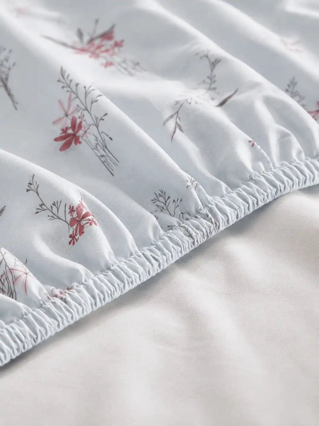 AtoZ Home Decor Selfie King 100% Cotton King Size Bedsheet Set | 210 TC