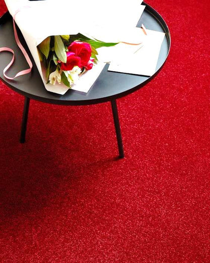 Ultra Soft Cut Pile Wall-to-Wall Carpet – Plush Comfort Flooring