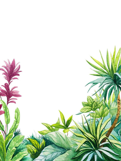 AtoZ Home Decor Tropical Leaves & Foliage Frame Wall Mural Wallpaper - Custom & Standard Sizes