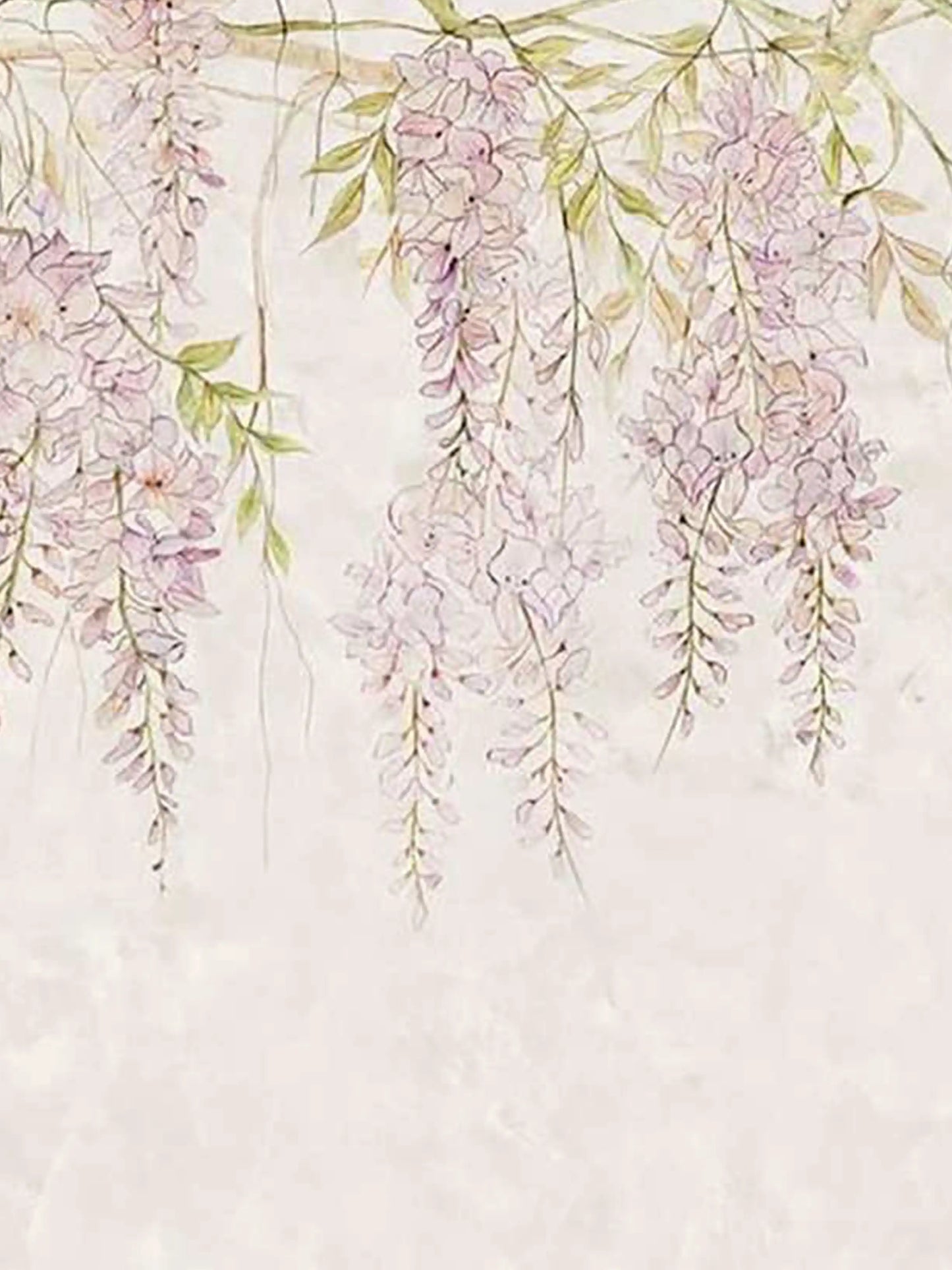 AtoZ Home Decor Tropical Wisteria Floral Wall Mural Wallpaper - Custom & Standard Sizes