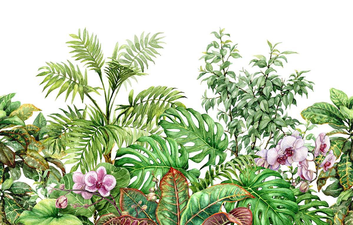 AtoZ Home Decor Tropical Plants Botanical Peel and Stick Wallpaper Wall Mural - Custom & Standard Sizes