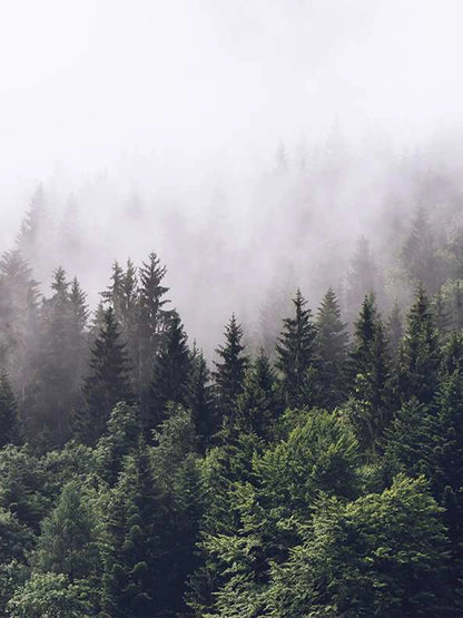 AtoZ Home Decor Tropical Foggy Forest Misty Mountain View Wall Mural Wallpaper - Custom & Standard Sizes