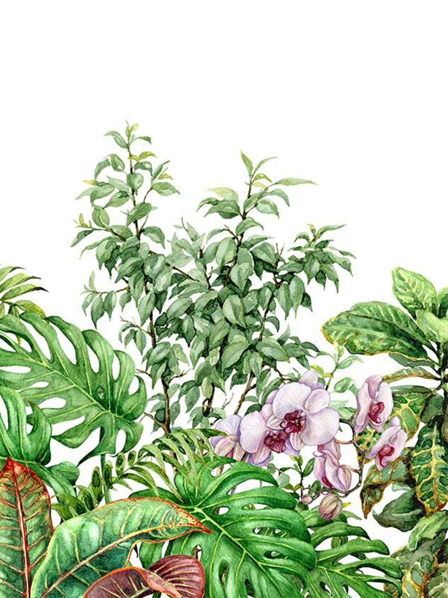 AtoZ Home Decor Tropical Plants Botanical Peel and Stick Wallpaper Wall Mural - Custom & Standard Sizes
