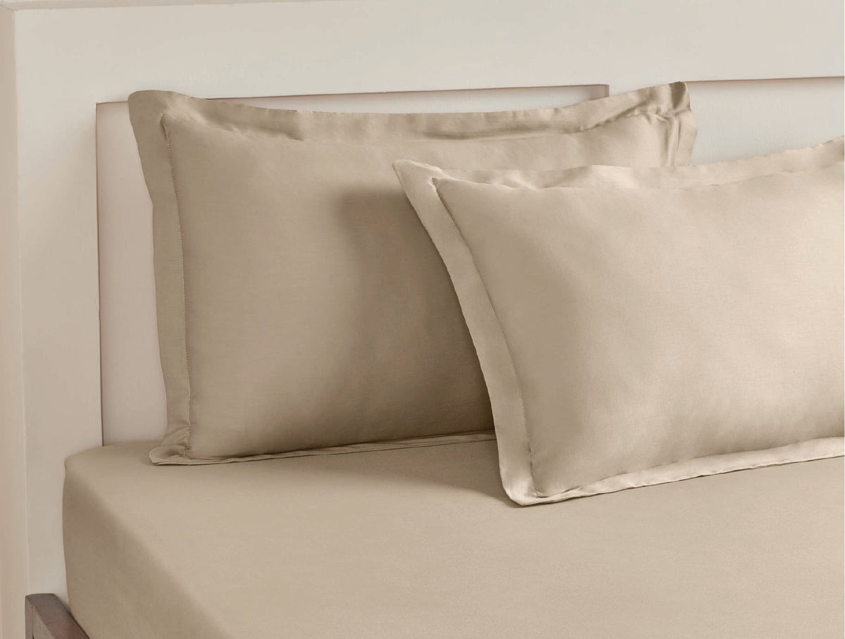 SPACES Aven Solid 100% Cotton 210 TC Large Fitted Bedsheet Set with 2 Pillow Covers (108 x 108 Inches)