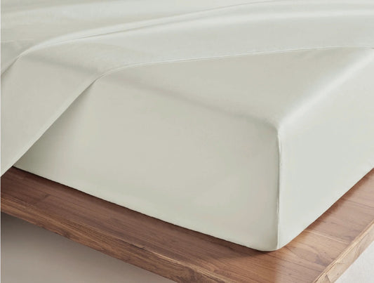 SPACES Aven Solid 100% Cotton 210 TC Large Fitted Bedsheet Set with 2 Pillow Covers (108 x 108 Inches)
