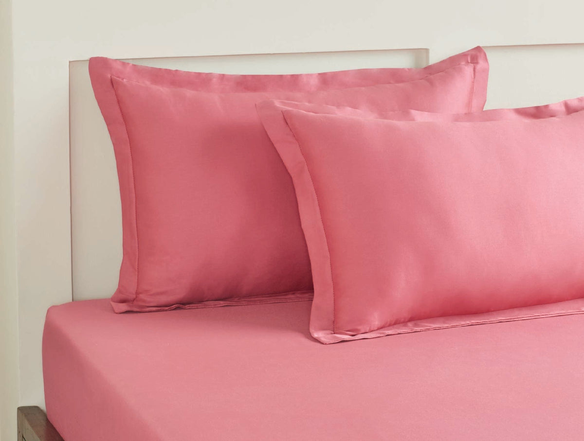 SPACES Aven Solid 100% Cotton 210 TC Large Fitted Bedsheet Set with 2 Pillow Covers (108 x 108 Inches)